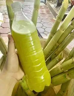 Hình ảnh Nước mía - 1 lít