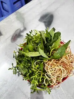 Rau Thêm - 10.000 ₫ tại Bún Mắm Sóc Trăng Cô Út - Lê Văn Sỹ