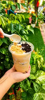 Hình ảnh shan tuyết oreo
