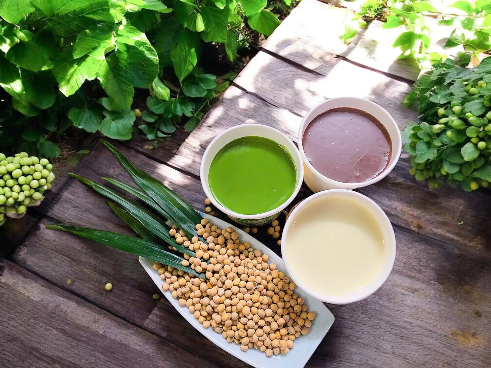 (Combo 3) Combo Tàu Hũ Tam Sắc ~ 170gr - 60.000 ₫ tại An Du - Tàu Hủ Singapore - Nguyễn Văn Nghi