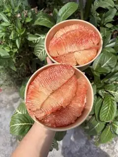 Hình ảnh Bưởi