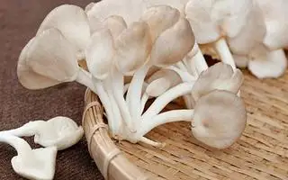 Hình ảnh Nấm thêm