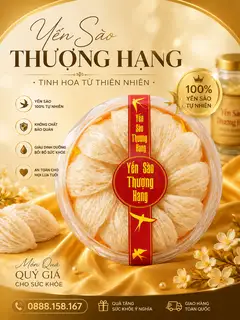 Hình ảnh Tổ Yến Thượng Hạng ( Hộp 100gram)