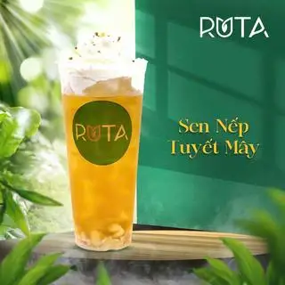 Hình ảnh Sen nếp tuyết mây