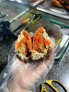 Hình ảnh 1 con cua Gạch- VIP