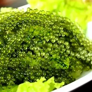 Umibodou (rong nho)+ sốt mè - 35.000 ₫ tại Yoko Sushi - Ẩm Thực Nhật Bản - Đường Số 73