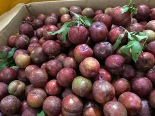 Hình ảnh  mận hậu 450g