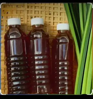 Hình ảnh sâm nhà nấu