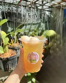 Hình ảnh trà vải