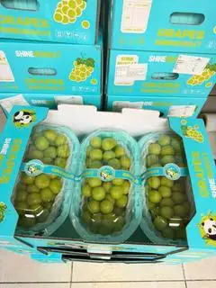 Hình ảnh nho sữa ( hộp 1,1kg - 1,3kg )