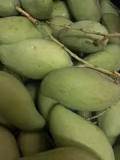 Hình ảnh ghép non có vỏ Trọng lượng 1 kg