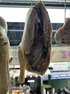 Hình ảnh 1/2 con vịt cỏ lớn
