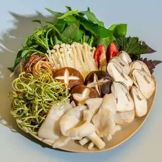 Hình ảnh Nấm Tổng Hợp