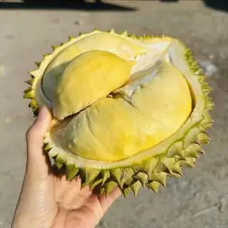 Hình ảnh Cơm sầu  riêng thái mongthong 