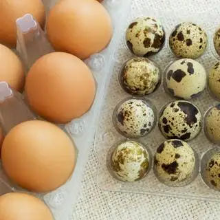 Hình ảnh Trứng Chấm Sốt Kèm Rau 