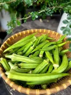 Hình ảnh Đậu bắp