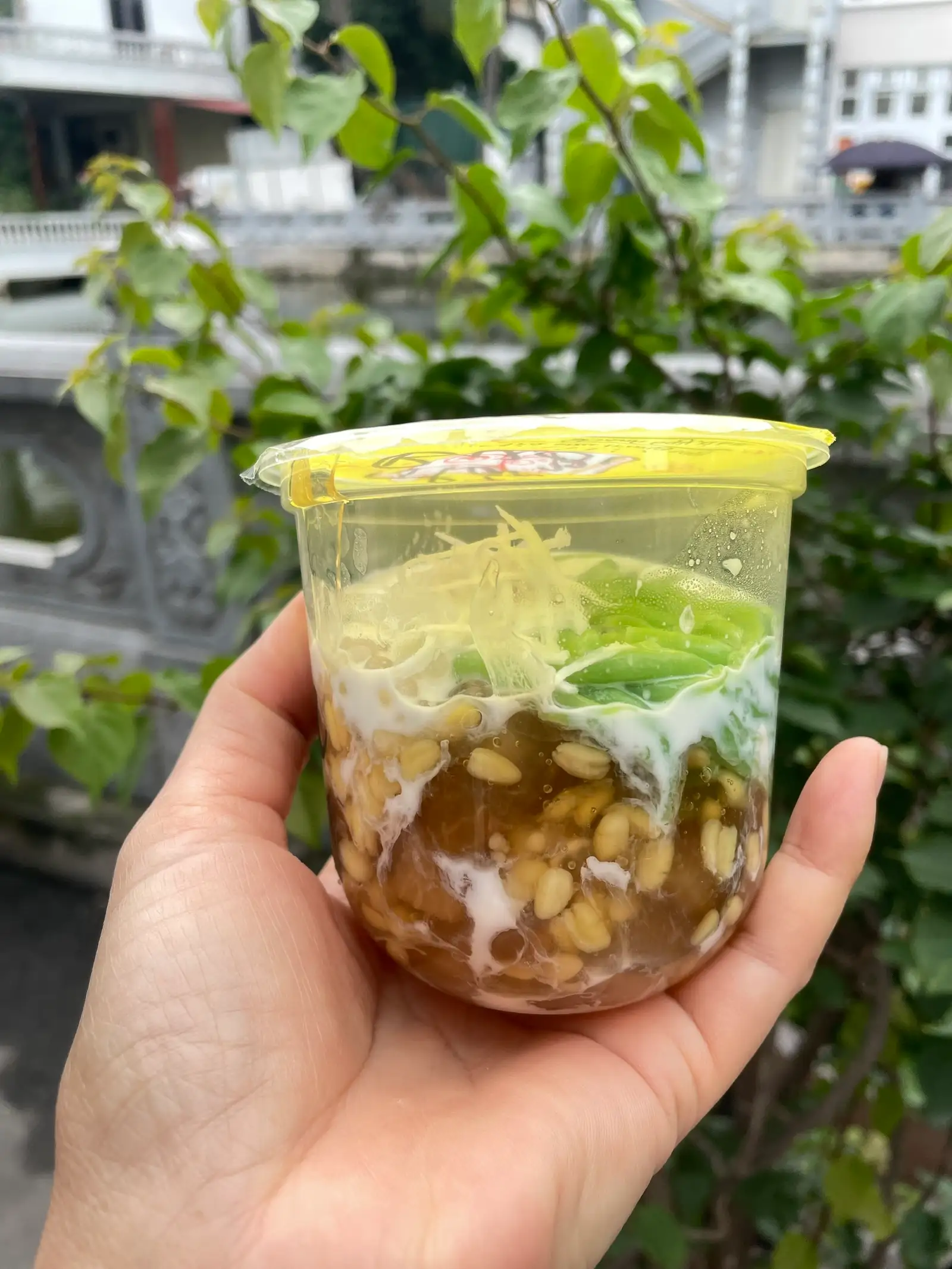 Hình ảnh Thái bưởi