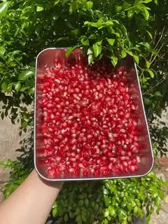 Hình ảnh Lựu đỏ
