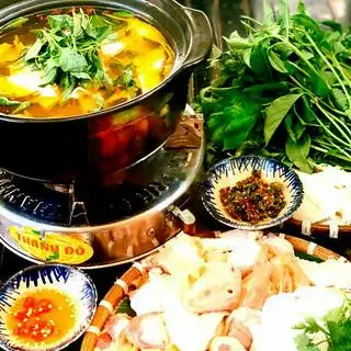 Lẩu gà lá é ớt sim Phú Yên 2 người - 295.000 ₫ tại Con Gà Mái - Cơm Gà Phú Yên - Trần Cao Vân