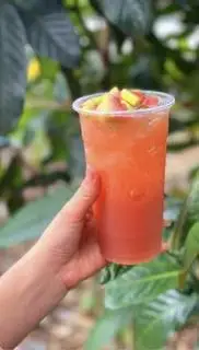 Hình ảnh Trà ổi hồng 500ml