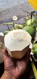 Hình ảnh dừa xiêm mở hờ miệng L1