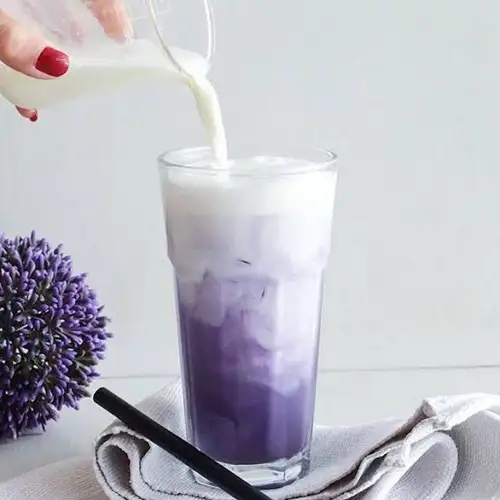 Hình ảnh KHOAI MÔN SỮA GẤU LATTE