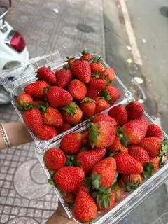 Hình ảnh Dâu monte giống Mỹ - 1kg