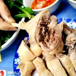 Hình ảnh Vịt luộc góc tư