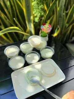 set 5 hộp tàu hủ lá dứa singapore (hủ 100ml) - 49.000 ₫ tại Bếp Nhà Kun - Tăng Bạt Hổ