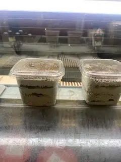 Hình ảnh Tiramisu