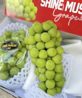 Hình ảnh Nho MĐ Thơm Ngọt dẻo_1 chùm/1 hộp 700gr_1kg