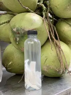 Hình ảnh DỪA TƯƠI + cơm dừa non chai 330ml