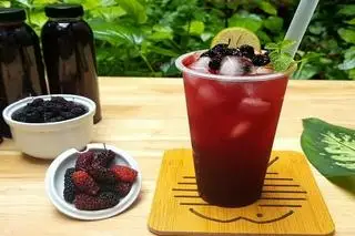 Hình ảnh nước dâu tằm 