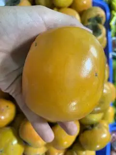 Hình ảnh Hồng mật