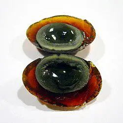 Hình ảnh Trứng Bách Thảo