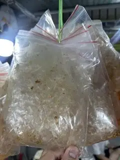 Bánh tráng muối tỏi truyền thống - 12.000 ₫ tại Long Bánh Tráng Trộn & Bánh Tráng Cuốn - Nguyễn Gia Trí