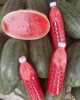 Hình ảnh Nước ép dưa hấu - 1 lít