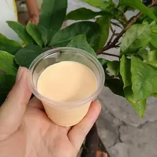 Hình ảnh sữa chua phô mai mặn