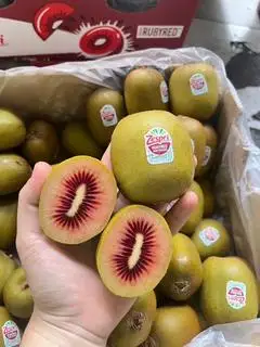 Hình ảnh Kiwi đỏ Newzeland-kg