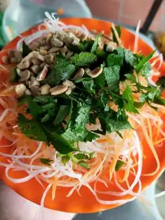 Hình ảnh Nộm chay