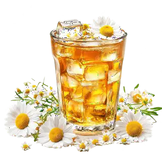 Trà hoa cúc - 47.000 ₫ tại Koj Cafe - Đường Số 8