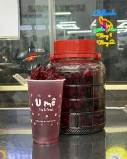 Hình ảnh Trà Atiso