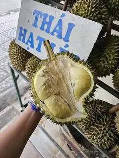Hình ảnh Cơm sầu Thái - Hộp nữa kí