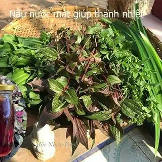 SÂM RONG BIỂN LA HÁN QUẢ - 25.000 ₫ tại Rau Má Mix & Nước Ép MeoMeo - Nguyên Hồng