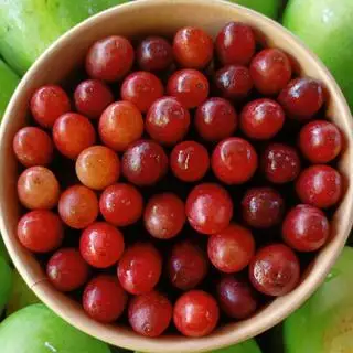 Nho Mỹ giòn ngọt - 119.000 ₫ tại TP Fruit - Trái Cây Gọt Sẵn - Hoàng Ngọc Phách