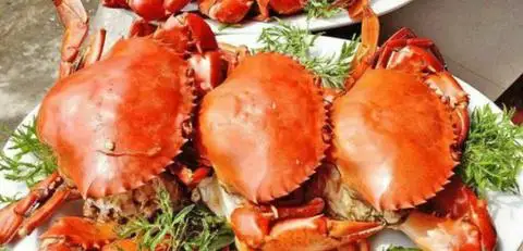 Hình ảnh Cua Ngon Cà Mau 314