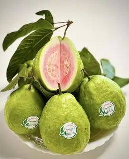 Hình ảnh Ổi Trân châu ruột đỏ VietGap Loại VIP - 1kg