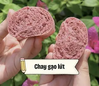 Hình ảnh Bánh bao chay gạo lứt