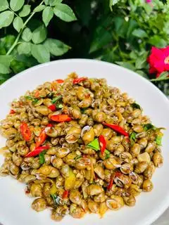 Hình ảnh Ốc mở vàng 