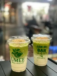 Hình ảnh Bơ già dừa non